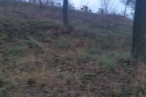 Primăria Păsăreni