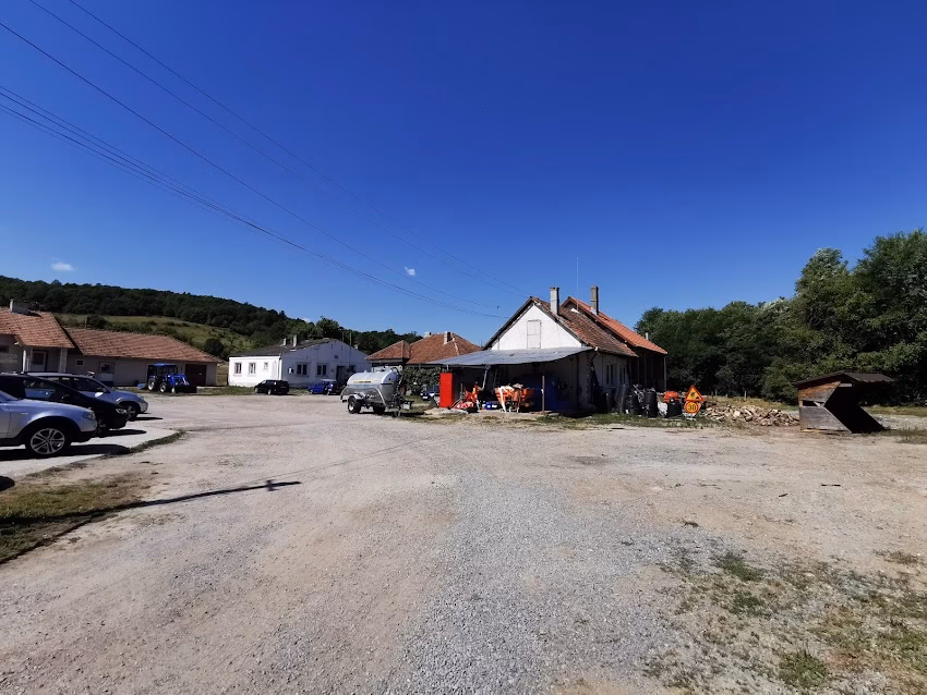 Primăria Peștișu Mic