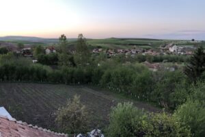 Primăria Petreștii de Jos