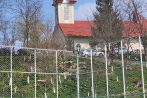 Primăria Ploscuțeni