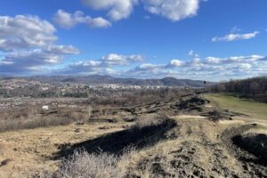 Primăria PoianaCâmpina