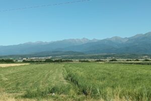 Primăria Porumbacu de Jos