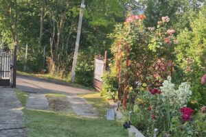 Primăria Provița De Jos