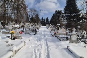 Primăria Provița De Sus