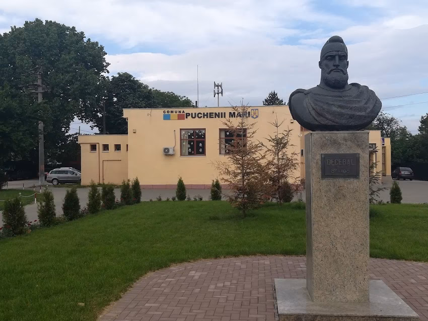 Primăria Puchenii Mari