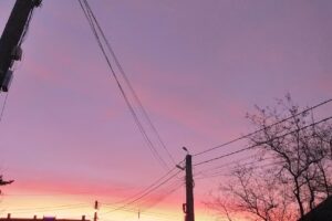 Primăria Răucești