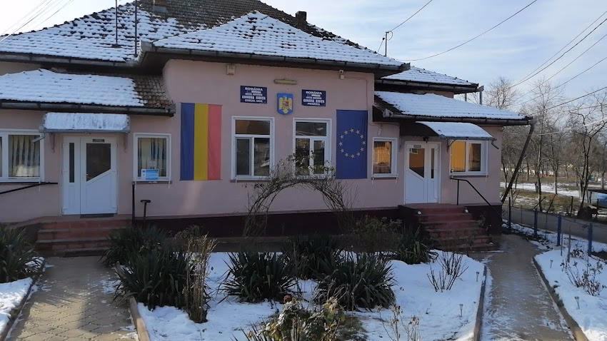 Primăria Ribița