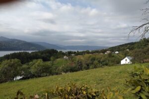 Primăria Rugineşti