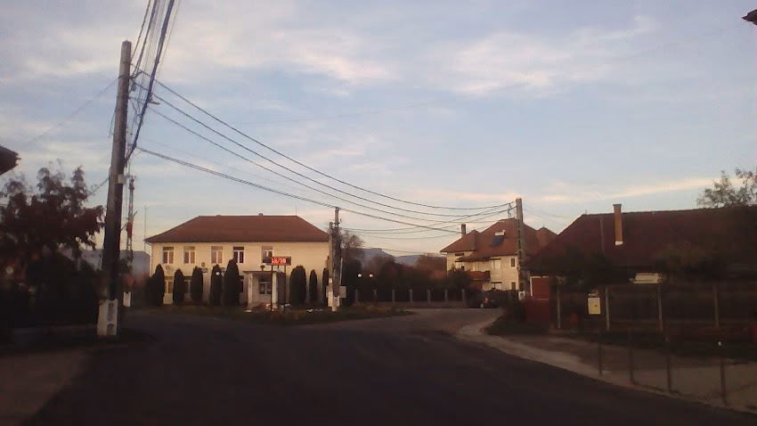 Primăria RușiiMunți