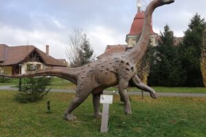 Primăria Sălașu de Sus