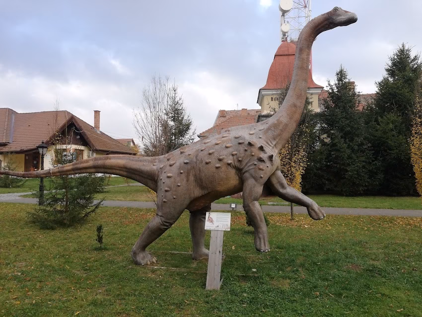 Primăria Sălașu de Sus