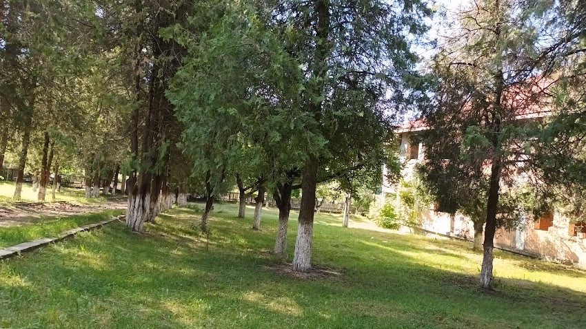 Primaria Sâmburești