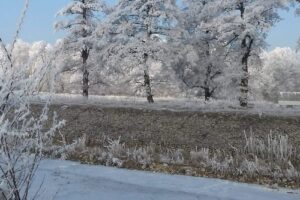 Primăria Sântămăria Orlea