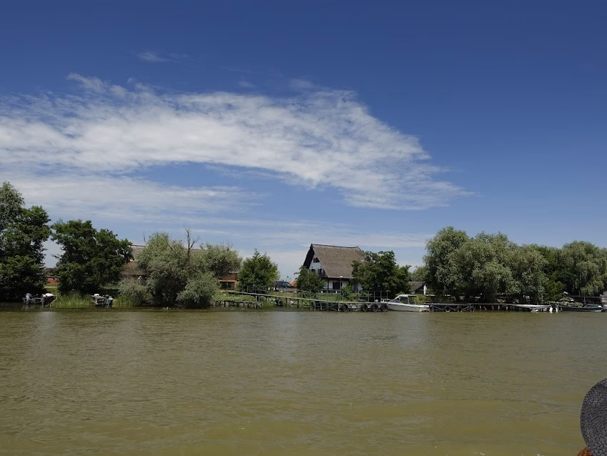 Primaria Sfantu Gheorghe