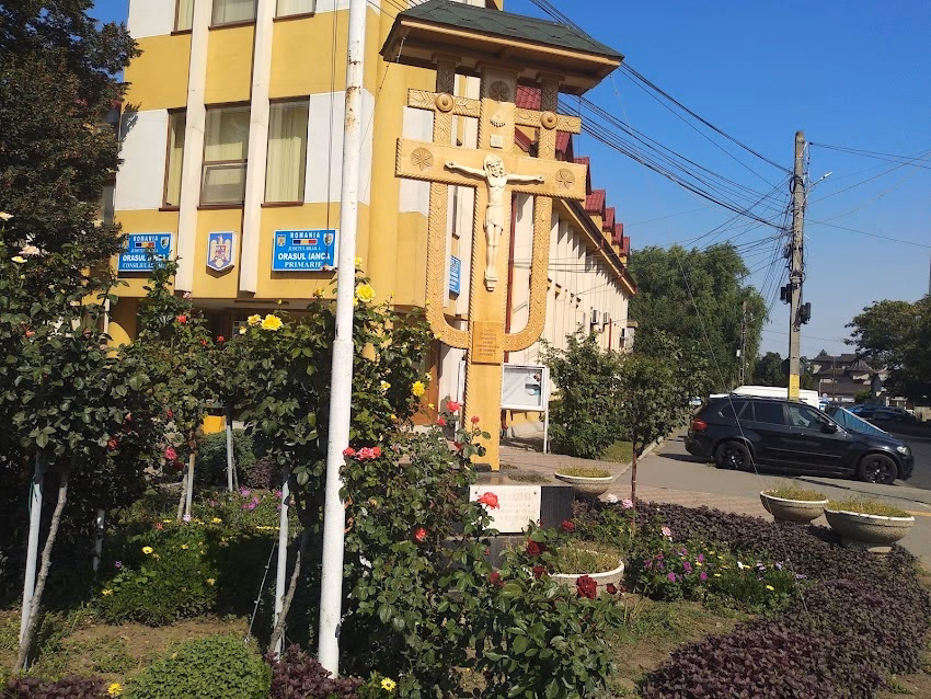 Primăria Și Consiliul Local Ianca