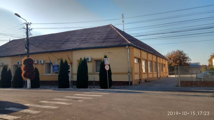 Primăria Sînandrei