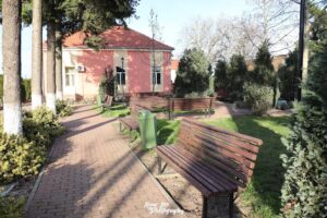 Primăria Sintea Mare