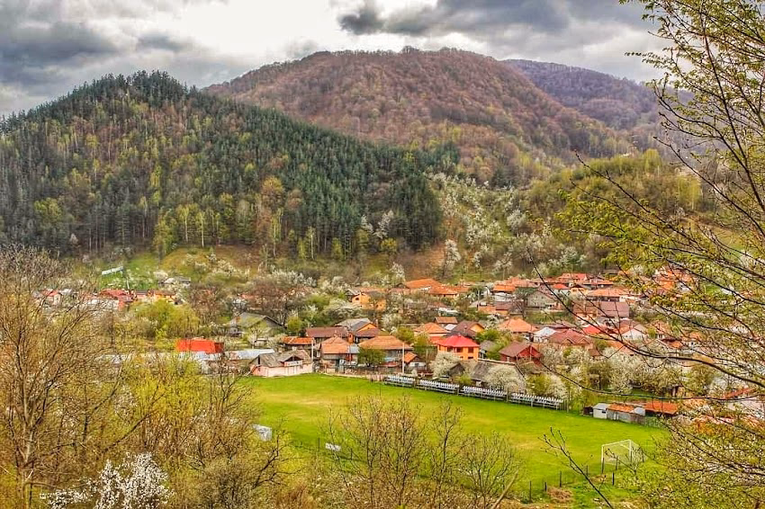 Primăria Siriu