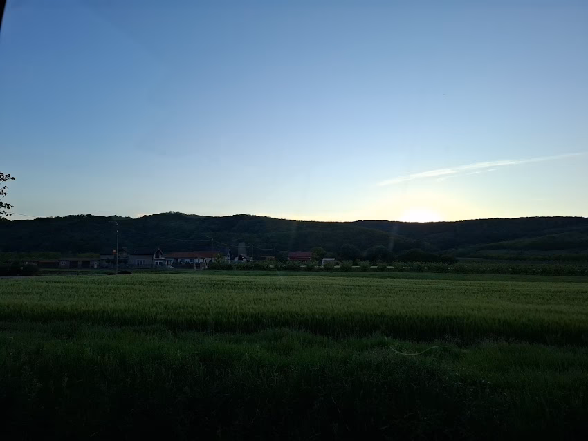 Primăria SomeșOdorhei