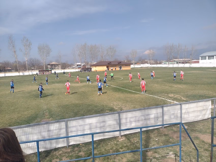 Primăria Șuțești