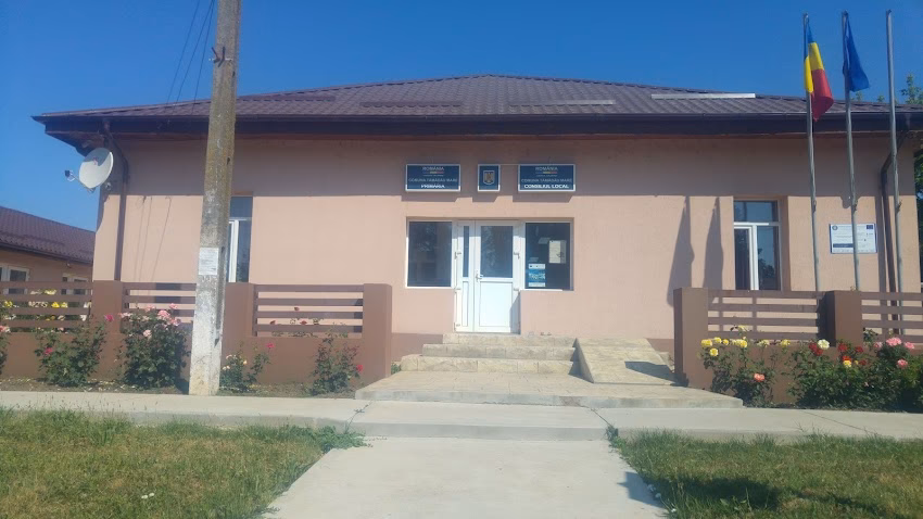 Primăria Tămădău Mare