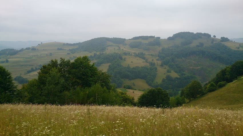 Primăria Târlișua