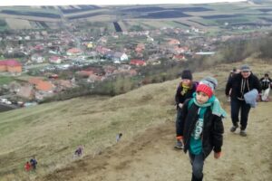 Primăria Tritenii de Jos