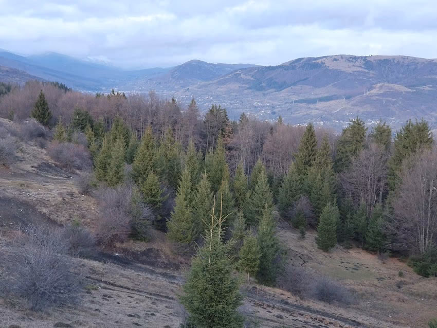 Primăria Valea Doftanei