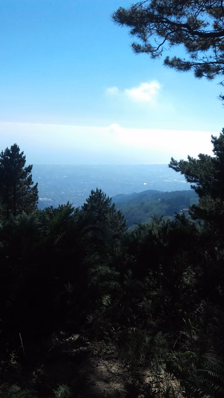 Primăria Valea Iașului