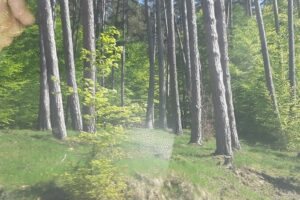 Primăria Valea Mare