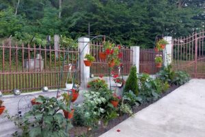 Primăria VăleniDâmbovița