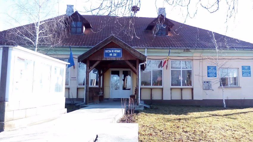 Primăria Viile Satu Mare