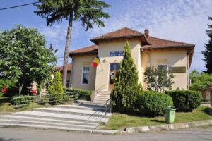 Primăria Vlădești