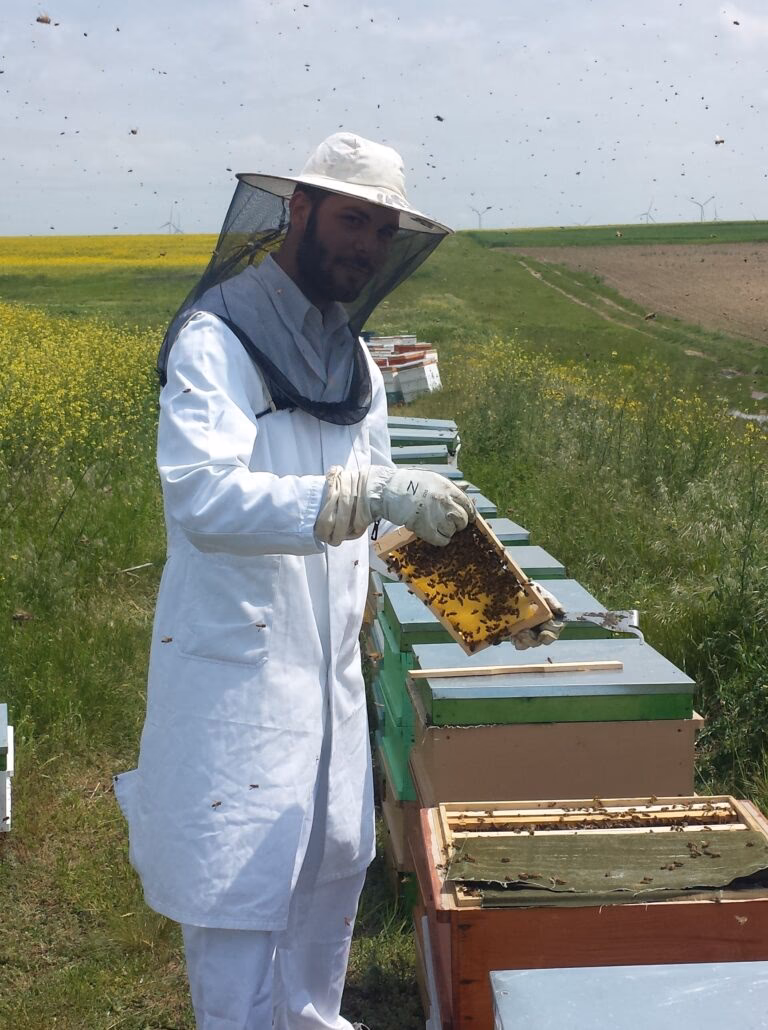 Prisaca Moisei Sediu