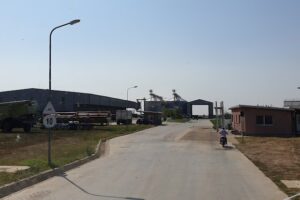 Procereal Agrosan Srl