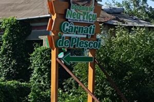 Produse traditionale Produse Din Plescoi