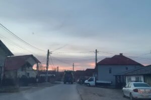 Profi Albestii de Arges