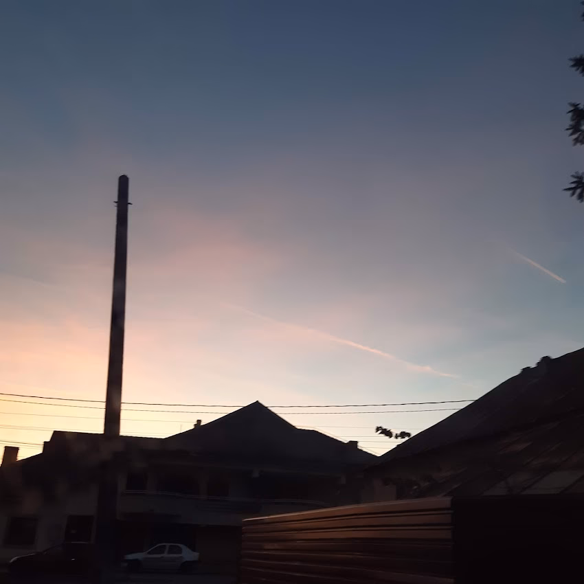 Profi Albestii de Arges