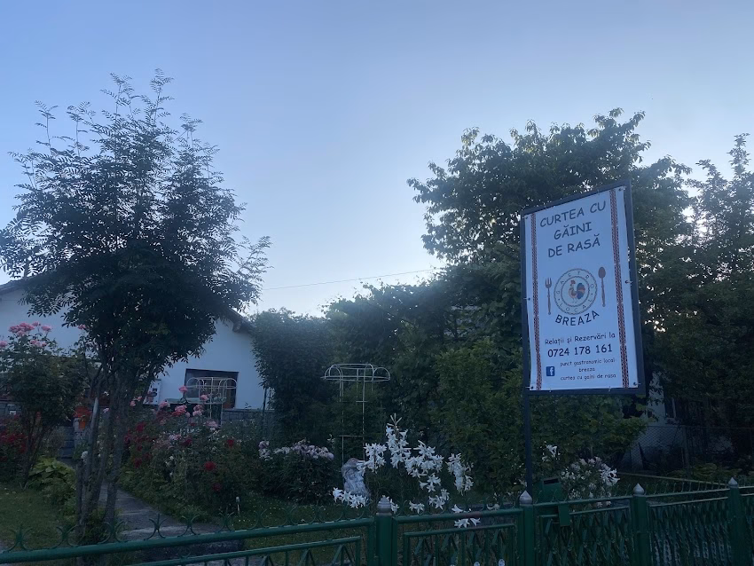 Punct gastronomic local Curtea cu Găini de Rasă