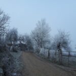 Punctul fosilifer Lăpugiu de Sus