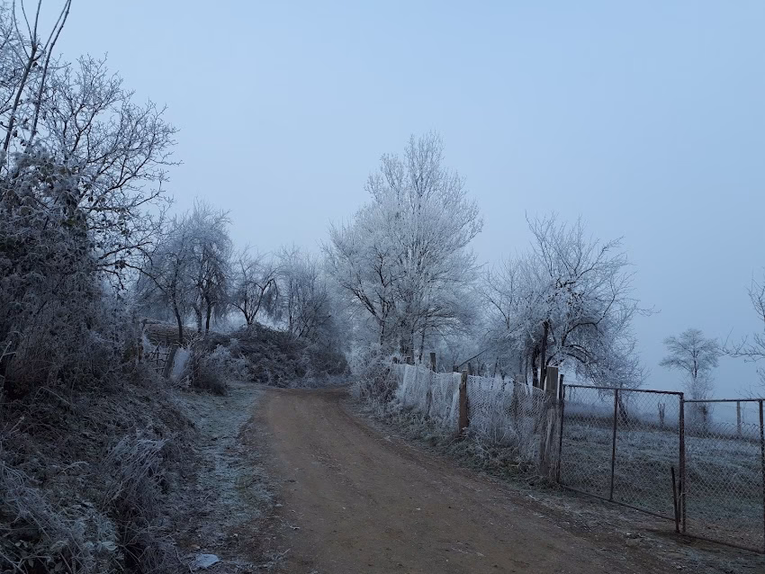 Punctul fosilifer Lăpugiu de Sus