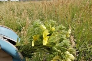 Quick Comarf Business