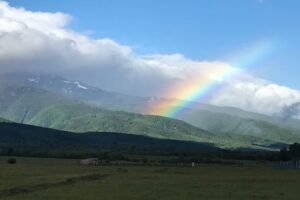 Racovita Berivoi Srl Transylvania Berry
