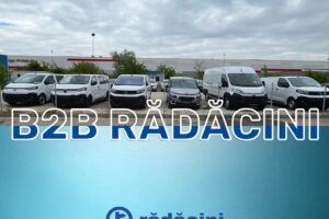 Radacini Grup B2b Business for Business