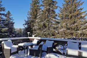 Rafael Chalet Cazare Paltinis