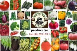 Răsaduri legume și flori Mihăilă