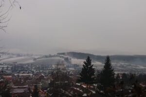 Regia Publică Locală A Pădurilor Stejarul Ra