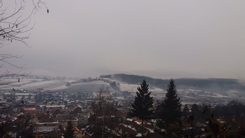 Regia Publică Locală A Pădurilor Stejarul Ra