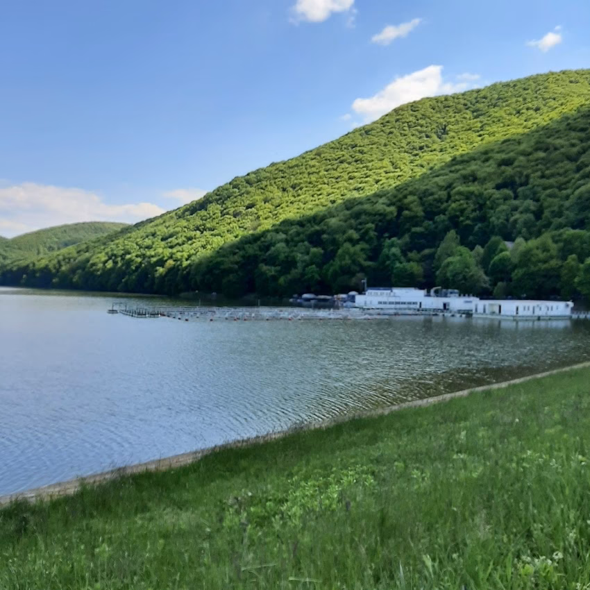 Restaurant Calinesti Grill Bar