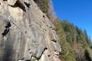 Rezervaţia faunistică Brateş